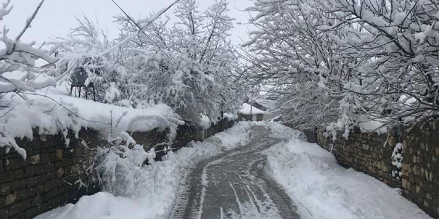 Lice Delvan Köyü Resimleri