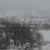 Lice Dernek Köyü Resimleri 10