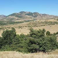 Lice Dernek Köyü Resimleri 8