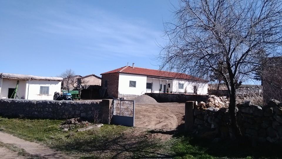 Kozaklı Küçükyağlı Köyü Resimleri 7