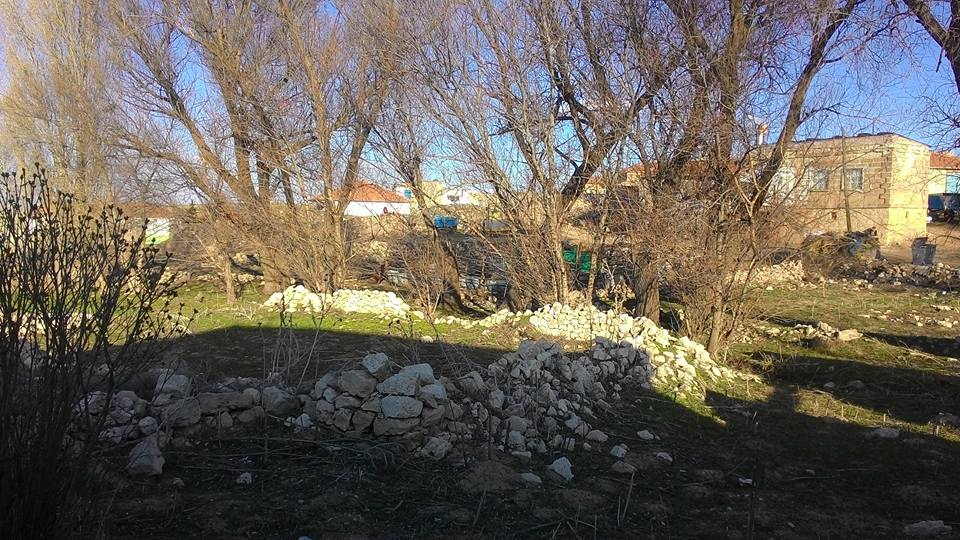 Kozaklı Merdanali Köyü Resimleri 4