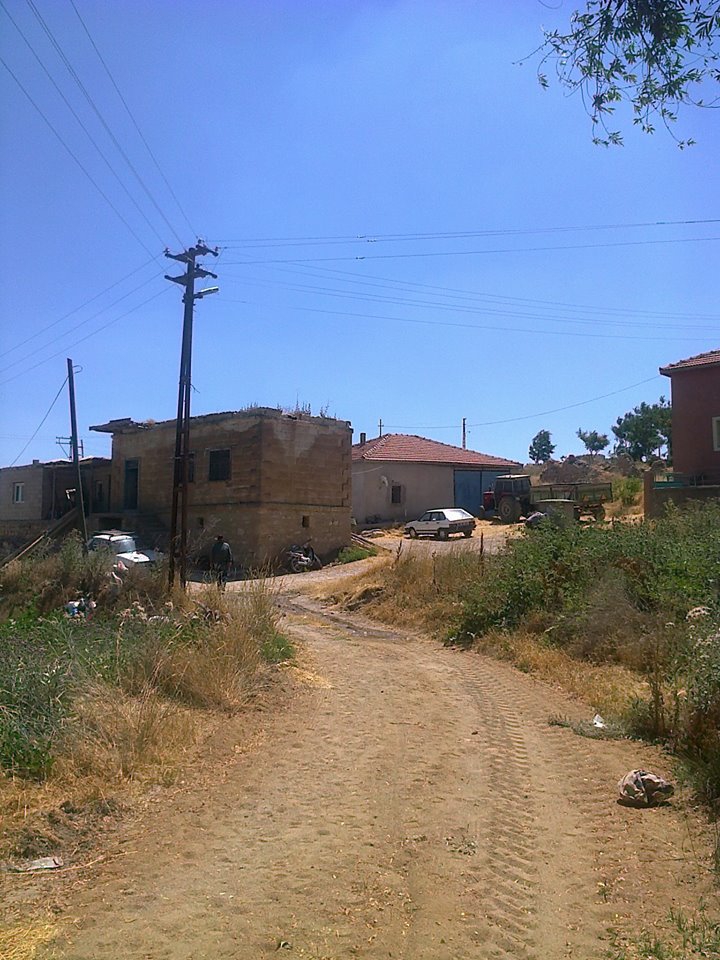 Kozaklı Merdanali Köyü Resimleri 6