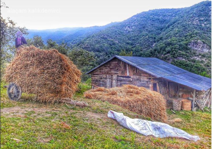 Alaçam Kalıkdemirci Köyü Resimleri 1