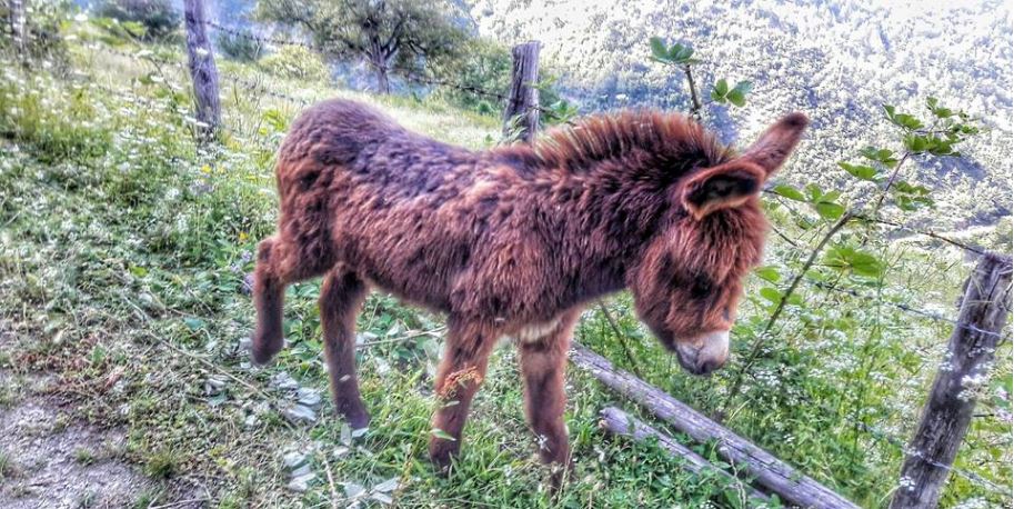 Alaçam Kalıkdemirci Köyü Resimleri 12