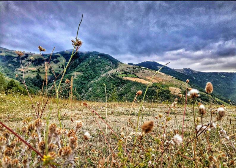 Alaçam Kalıkdemirci Köyü Resimleri 13