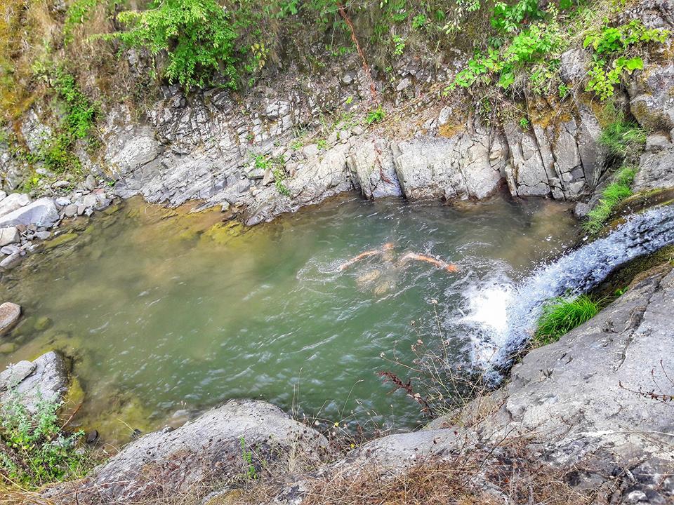 Alaçam Kalıkdemirci Köyü Resimleri 19