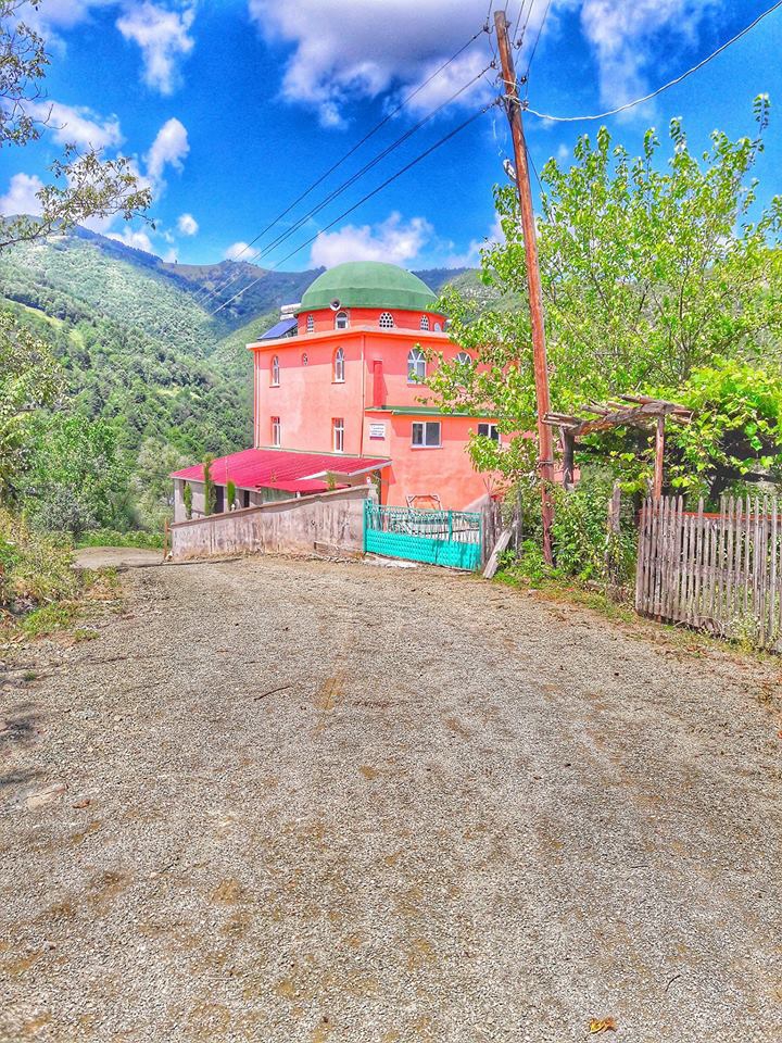 Alaçam Kalıkdemirci Köyü Resimleri 20