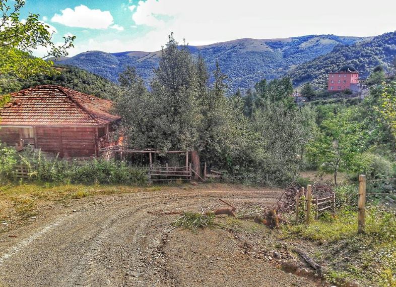 Alaçam Kalıkdemirci Köyü Resimleri 23