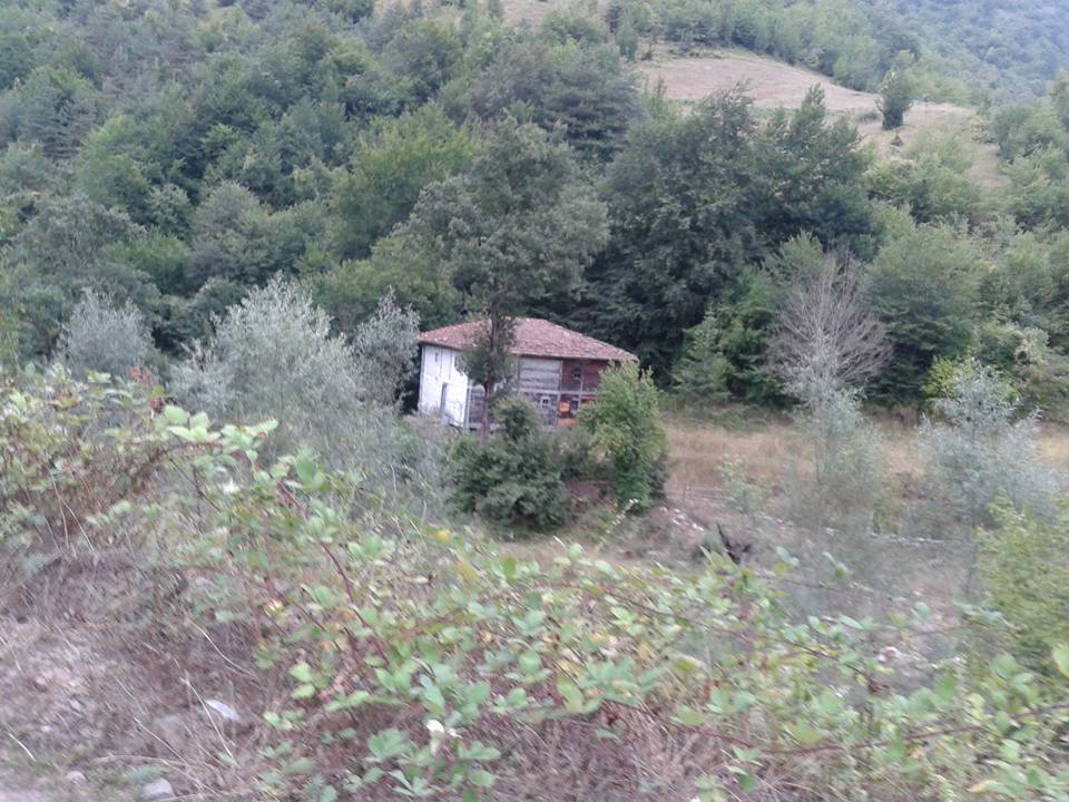 Alaçam Kalıkdemirci Köyü Resimleri 7