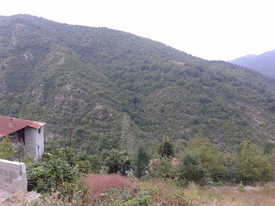 Alaçam Kalıkdemirci Köyü Resimleri 9