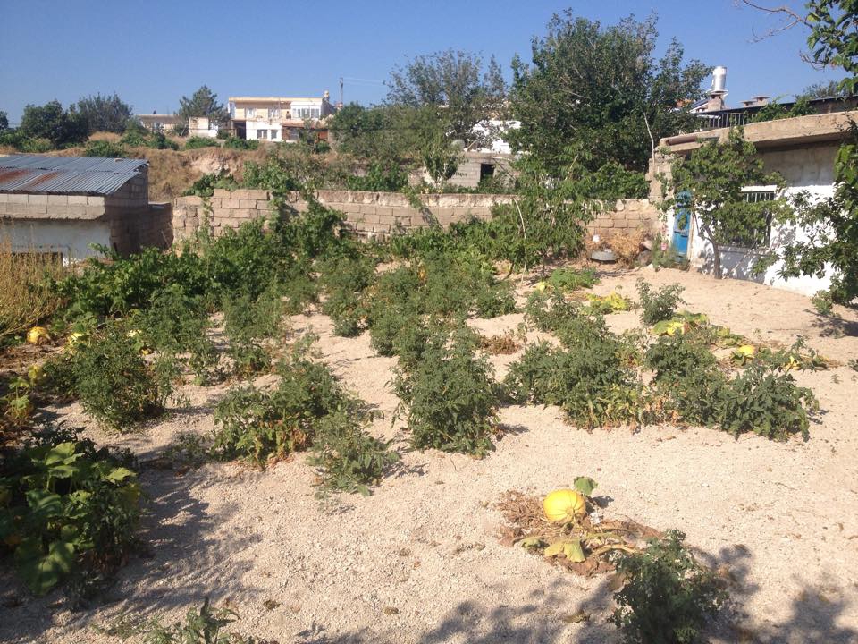 Ürgüp İbrahimpaşa Köyü Resimleri 3