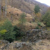 Lice Ecemiş Köyü Resimleri 5