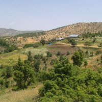 Lice Ecemiş Köyü Resimleri 6