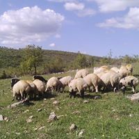 Lice Esenler Köyü Resimleri 8