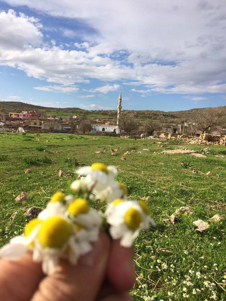 Lice Gökçe Köyü Resimleri 2