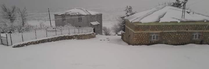 Lice Güçlü Köyü Resimleri 1