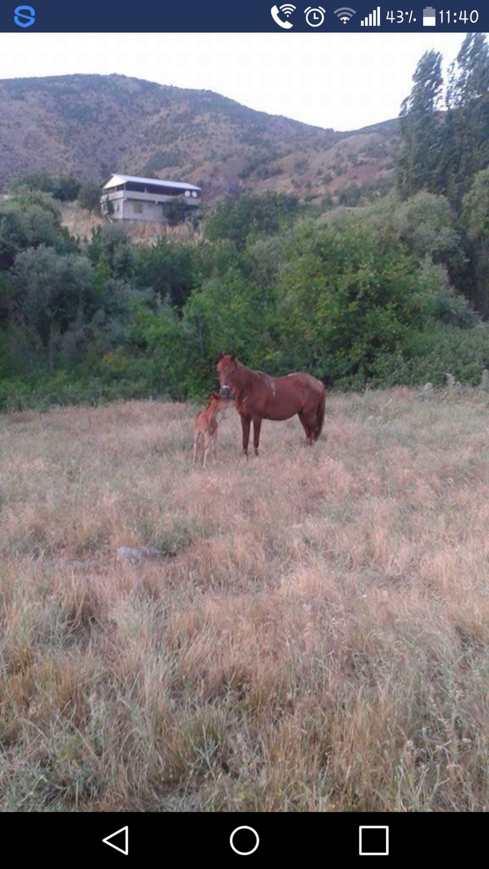 Lice Hedik Köyü Resimleri 3
