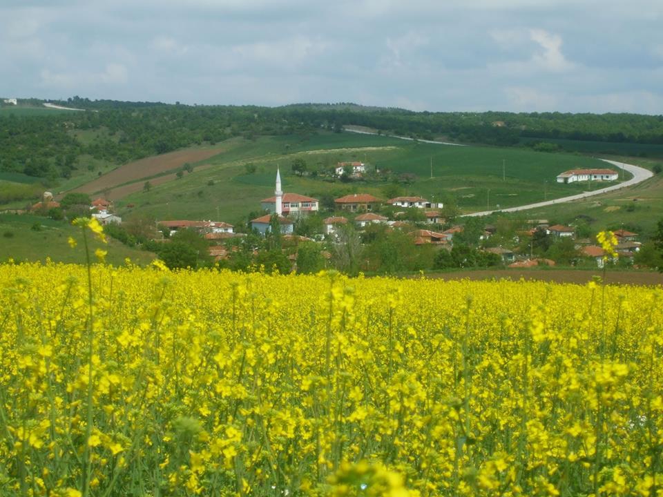 Meriç Akıncılar Köyü Resimleri 1