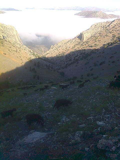 Adana Tufanbeyli Kirazlıyurt Köyü Resimleri 15