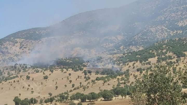 Lice Kıralan Köyü Resimleri 1