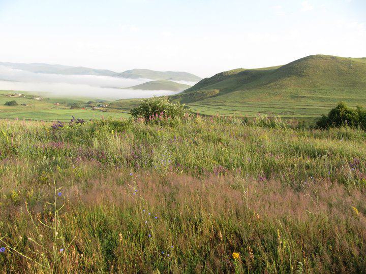 Lice Muradiye Köyü Resimleri 1