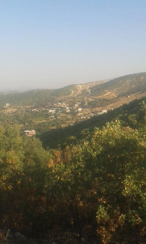 Lice Ortaç Köyü Resimleri 1