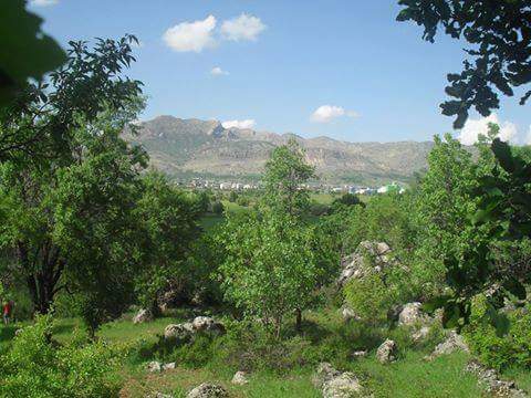 Lice Oyuklu  Köyü Resimleri 4