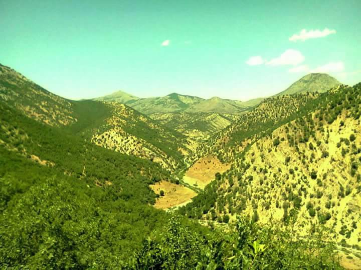 Lice Saydamlı Köyü Resimleri 1