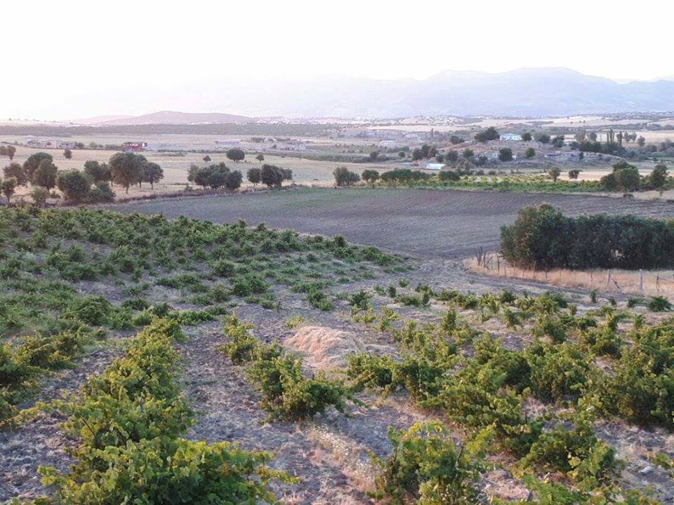 Lice Tepe Köyü Resimleri 2