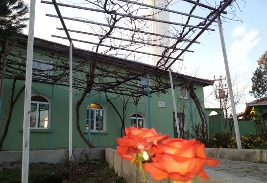 Meriç Paşayenice Köyü Resimleri 1