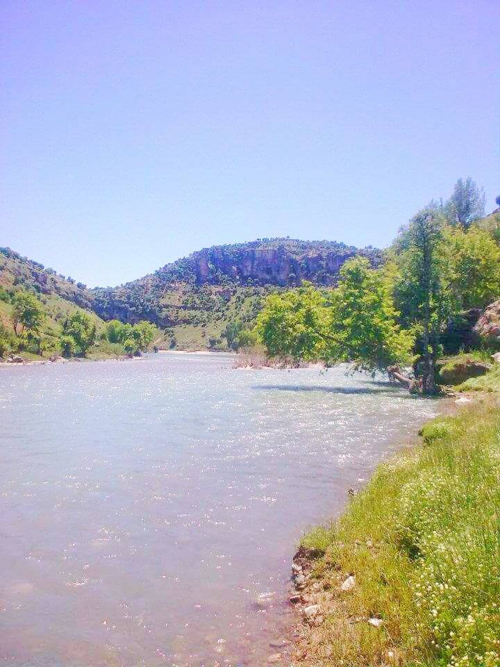 Lice Türeli Köyü Resimleri 1