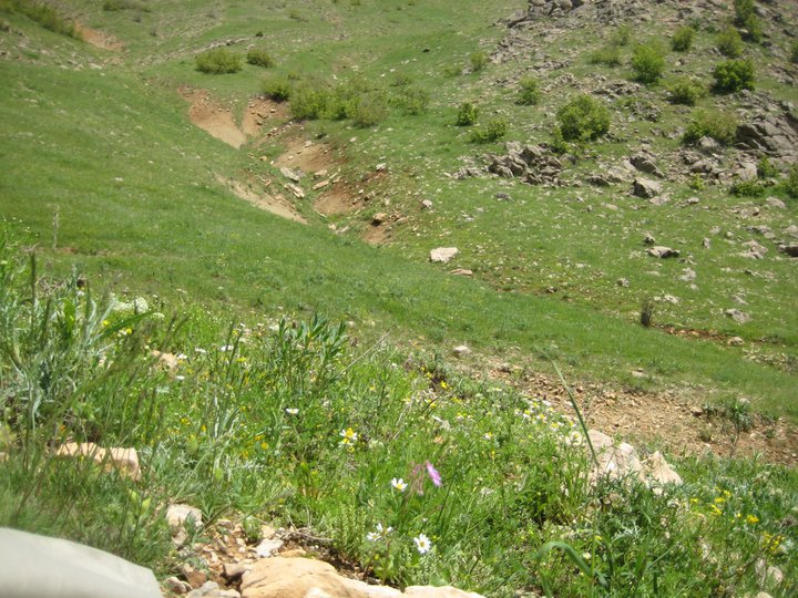 Lice Yeşilburç Köyü Resimleri 2