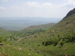 Lice Yeşilburç Köyü Resimleri 5