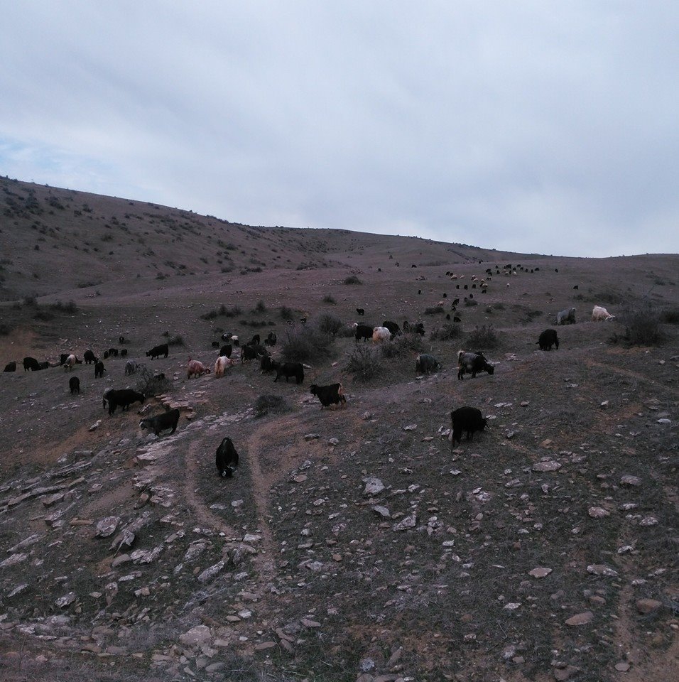 Lice Zümrüt Köyü Resimleri 5