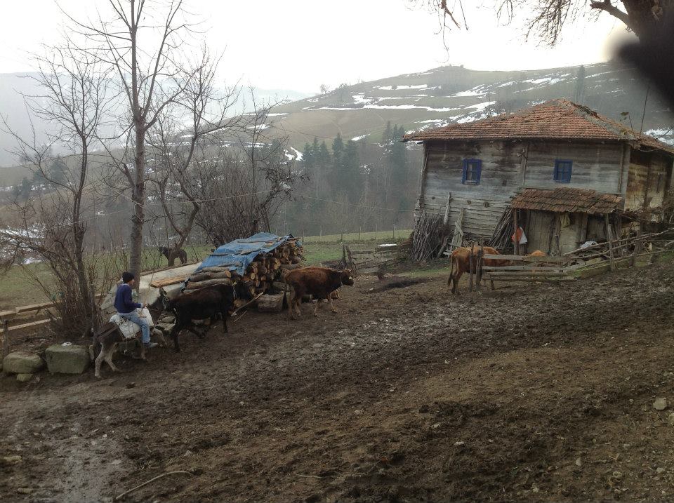 Alaçam Köseköy Köyü Resimleri 11