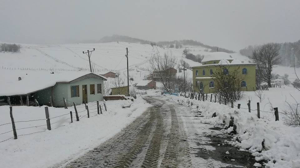 Alaçam Köseköy Köyü Resimleri 2