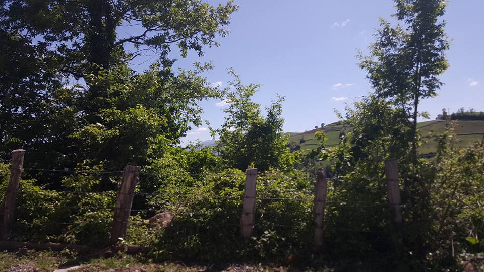 Alaçam Köseköy Köyü Resimleri 3