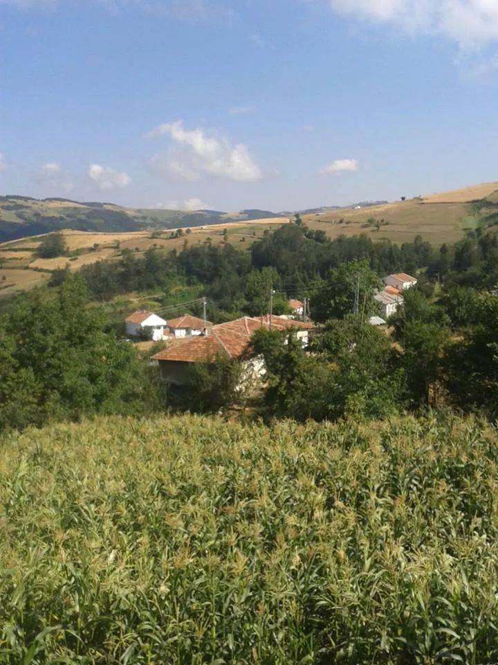 Alaçam Köseköy Köyü Resimleri 6