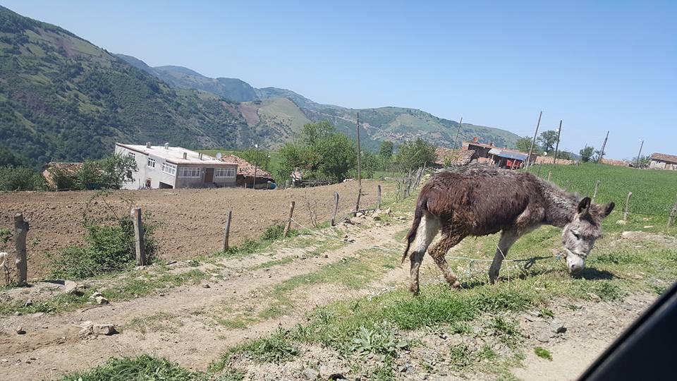 Alaçam Köseköy Köyü Resimleri 9