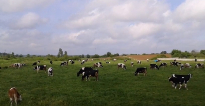 Uzunköprü Danişment Köyü Resimleri 2