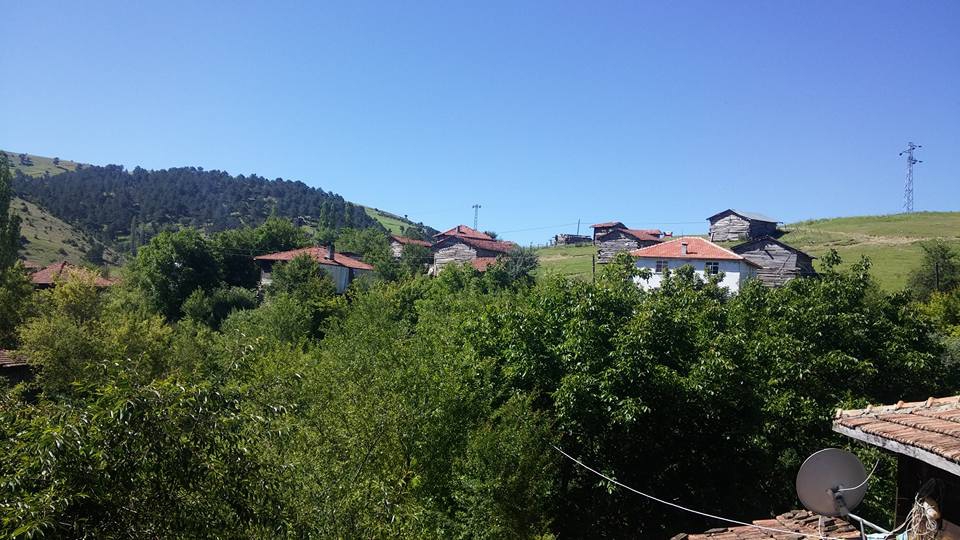 Alaçam Pelitbükü Köyü Resimleri 11