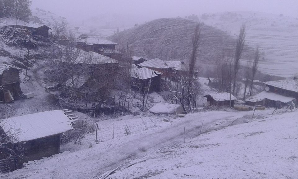 Alaçam Pelitbükü Köyü Resimleri 4