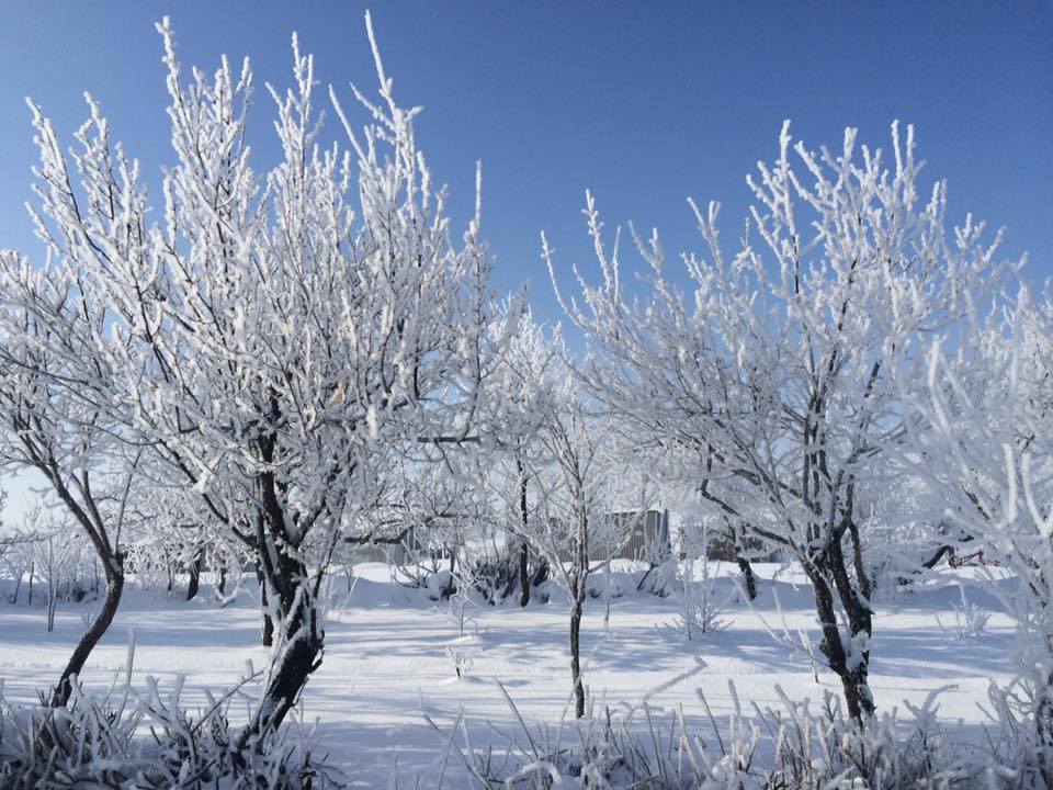 Uzunköprü Gemici Köyü Resimleri 2