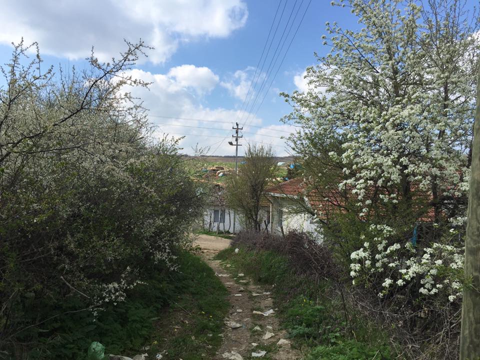 Uzunköprü Karabürçek Köyü Resimleri 4