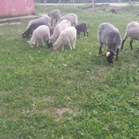 Silvan Akçayır Köyü Resimleri 2