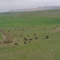 Silvan Başıbüyük Köyü Resimleri 3