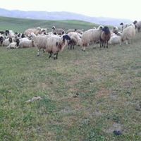 Silvan Başıbüyük Köyü Resimleri 5