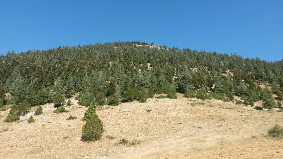 Adana Tufanbeyli Ortaköy Resimleri 1