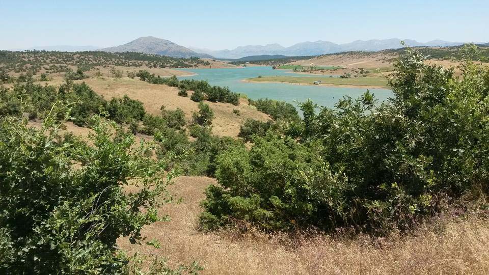 Adana Tufanbeyli Ortaköy Resimleri 4