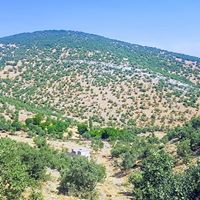 Silvan Bayrambaşı Köyü Resimleri 16